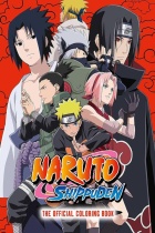 Naruto: Shippuden 2007